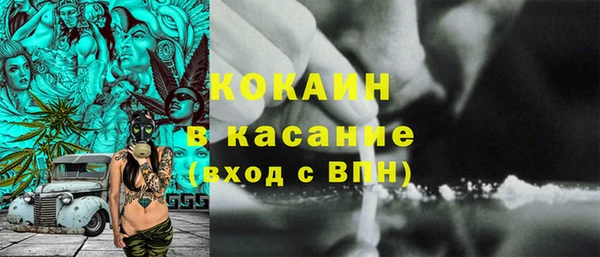 ПСИЛОЦИБИНОВЫЕ ГРИБЫ Аркадак