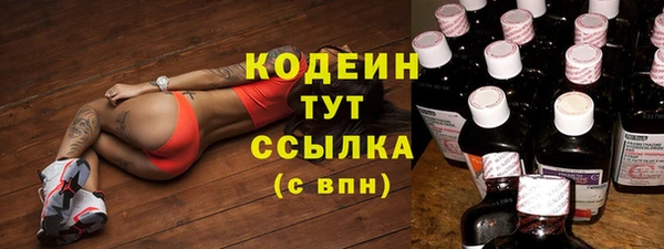 ПСИЛОЦИБИНОВЫЕ ГРИБЫ Аркадак